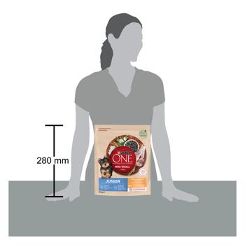 Корм сухой Purina One Junior с курицей и рисом для щенков малых пород 800г - купить, цены на MasterZoo - фото 2