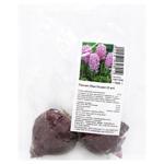 Hyacinth Pink Pearl Bulbs 2pcs