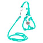 Leash