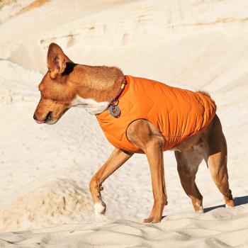 Pet Fashion E.Vest Vest for Dogs s.М Orange - buy, prices for - photo 6