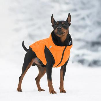 AiryVest Uni Dog Jacket s.XS28 Orange-Black - buy, prices for - photo 8