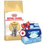 Корм сухой Royal Canin с домашней птицей для взрослых кошек породы британская короткошерстная 4кг + наполнитель Catsan 5л