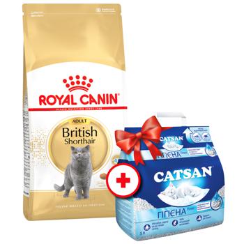 Royal Canin Dry Food with Poultry for Adult Cats of British Shorthair Breed 4kg + Catsan Filler 5l - buy, prices for MasterZoo - photo 1