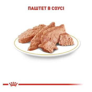 Корм влажный Royal Canin с домашней птицей для взрослых собак породы чихуахуа 3+1шт х 85г - купить, цены на MasterZoo - фото 3