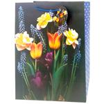 Art Studio of Happines GB-24151 Gift Bag 26х32х12cm