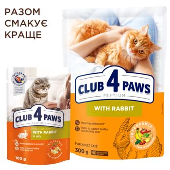 Корм сухой Club 4 Paws Premium с кроликом для кошек 14кг - купить, цены на MasterZoo - фото 5