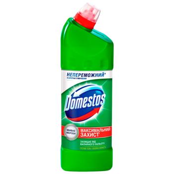 Засіб універсальний Domestos Хвойна свіжість 1л - купити, ціни на Ідеал - фото 1
