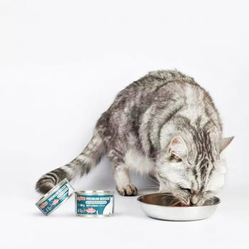 Comfy Appetit Premium Wet Food with Tuna for Sterilized Cats 85g - buy, prices for MasterZoo - photo 3
