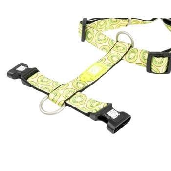 Leash Max and molly Germany - buy, prices for MasterZoo - photo 3