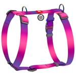 Leash Waudog Ukraine
