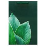 Пакет подарунковий Природа 36х24х9см