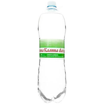 Chervona kalyna Lagidna Mineral water low-carbonated 2l - buy, prices for - photo 1