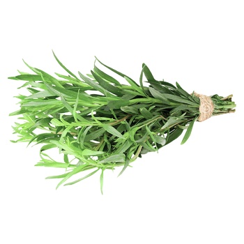 Tarragon - buy, prices for METRO - photo 1