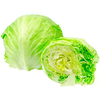 Vita Verde Iceberg Lettuce - buy, prices for METRO - photo 2