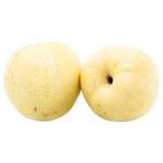 Nashi Pear