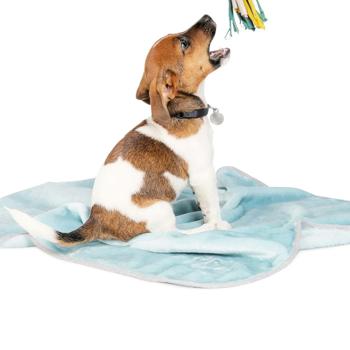 Pet Fashion Bliss 1 Blanket for Dogs and Cats 77x60cm Mint - buy, prices for MasterZoo - photo 2