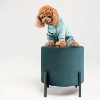 Pet Fashion Comfort Overalls for Dogs s.M - buy, prices for - photo 5