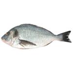 Chilled Gutted Dorado