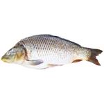 Карп очищенный с головой