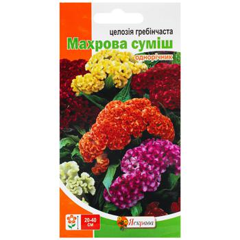 Насіння Яскрава Целозiя гребінчаста махрова сумiш 0,3г - купити, ціни на Таврія В - фото 1