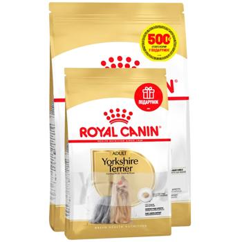Royal Canin Adult Dry Food with Poultry for Dogs of Yorkshire Terrier Breed 1.5kg+500g - buy, prices for MasterZoo - photo 1