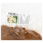 Цибулина лілії ОТ Бейжінг Мун 1шт