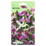 Elitsortnasinnia Two-horned Matthiola Seeds 1g