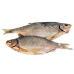 Fish silver bream