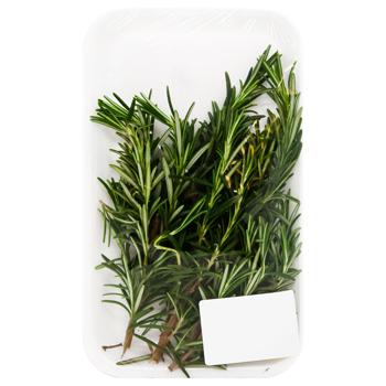 Rosemary - buy, prices for - photo 2