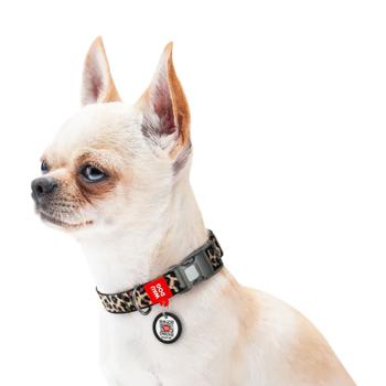 Collar Collar Ukraine - buy, prices for MasterZoo - photo 5