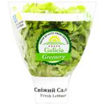Салат Galicia Greenery Дубок зелений