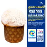 Italian Panettone 360g