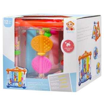 Maya Toys Development Complex Toy - buy, prices for NOVUS - photo 1