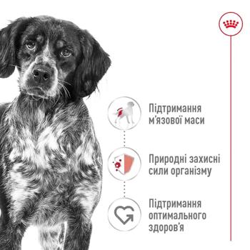 Dog food Royal canin poultry 12000g France - buy, prices for MasterZoo - photo 3