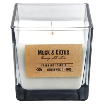 Scented candle Bispol musk Poland - buy, prices for MegaMarket - photo 2