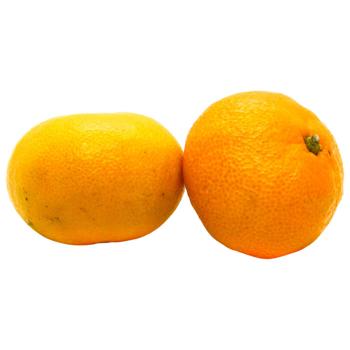 Tangerine - buy, prices for METRO - photo 1