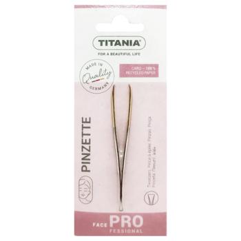 Titania 1060/GA Straight Eyebrow Tweezers