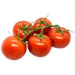 Tomato on Branch