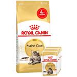 Набір корму Royal Canin Adult для котів породи мейн-кун cухий 2кг + вологий 4шт х 85г