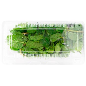 Mint in Blister 50g