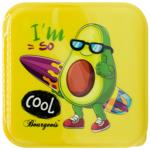 Bourgeois Lunchbox 490ml