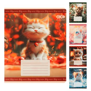 ZiBi Cats Squared Notebook 12 Sheets in Assortment