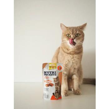 Ласощі для котів GimCat Nutri Pockets з лососем, омега 3 та омега 6 60г - купити, ціни на MasterZoo - фото 3