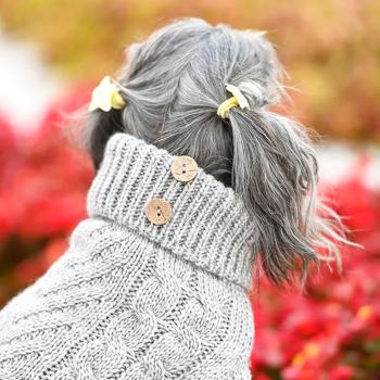 Sweater Noble pet s Ukraine - buy, prices for MasterZoo - photo 5