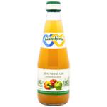 Galicia Apple Juice 0.3l