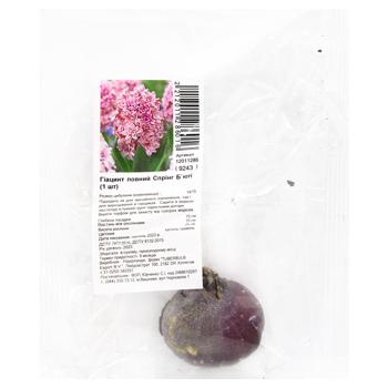 Full Hyacinth Spring Beauty Bulb 1pcs - buy, prices for MegaMarket - photo 1