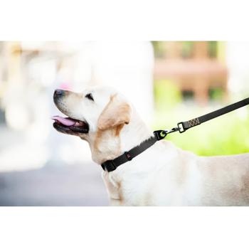 Collar Evolutor Leash 3m / 25mm Black - buy, prices for MasterZoo - photo 7