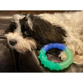Іграшка для собак Petstages Orka Grow With Me Ring - купити, ціни на MasterZoo - фото 6