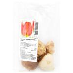 Triumph Orange Juice Tulip Bulbs 3pcs