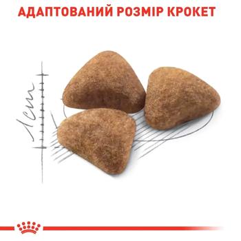 Корм сухий Royal Canin Indoor 27 з домашньою птицею для домашніх котів 2кг+400г - купити, ціни на MasterZoo - фото 5